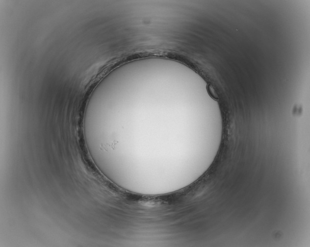 X0000113120693200908281042