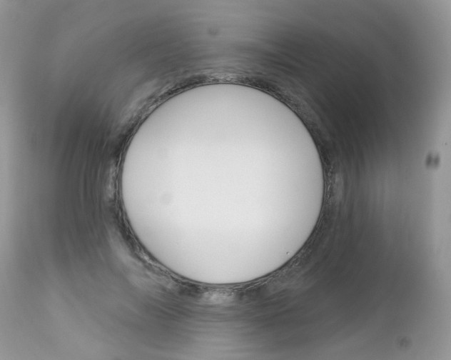 X0000113120694200908281042