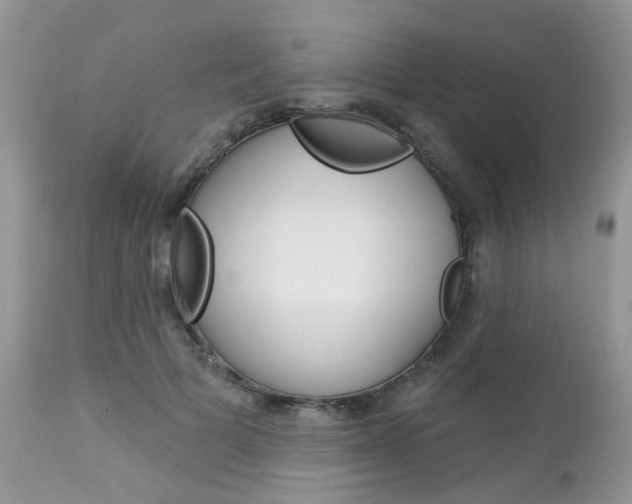 X0000113120697200908281042