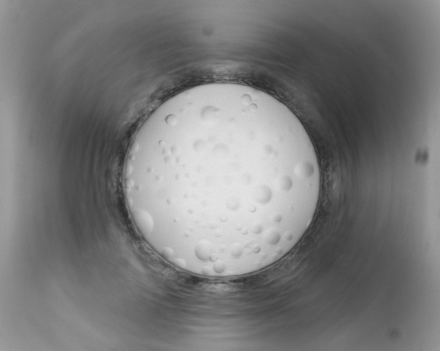 X0000113120698200908281042