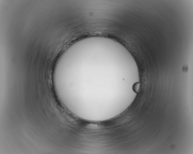 X0000113120699200908281042