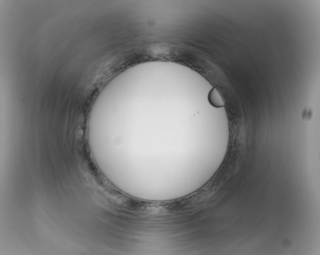 X0000113120702200908281042
