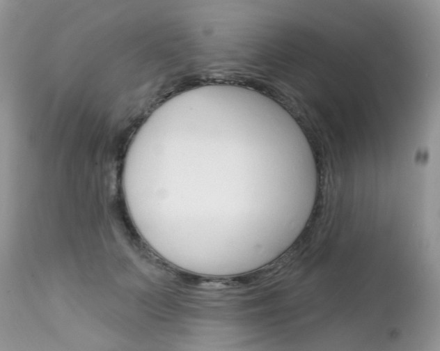 X0000113120703200908281042