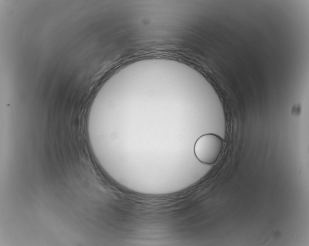 X0000113120704200908281042