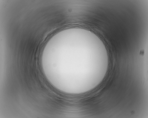 X0000113120705200908281042