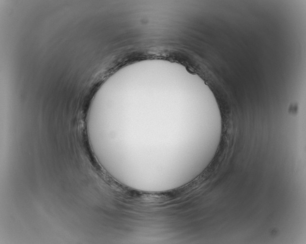 X0000113120707200908281042
