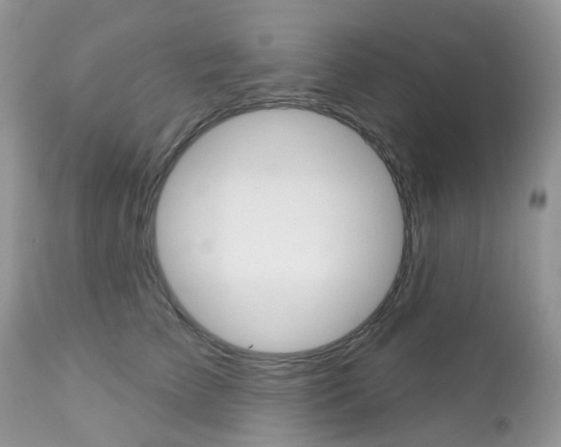 X0000113120709200908281042