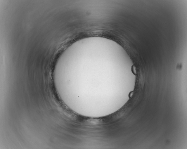 X0000113120711200908281042