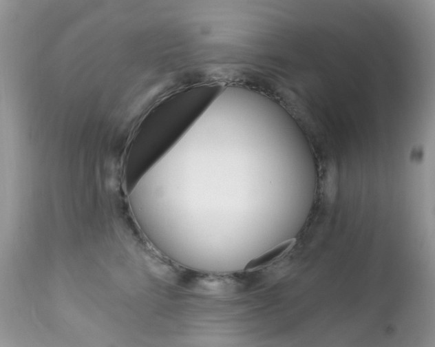 X0000113120712200908281042