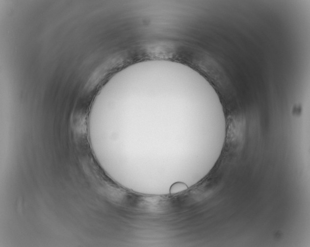 X0000113120713200908281042
