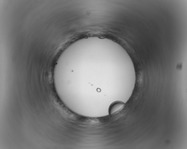 X0000113120715200908281042