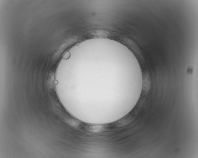 X0000113120717200908281042