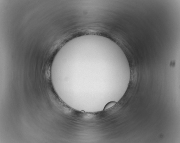 X0000113120718200908281042