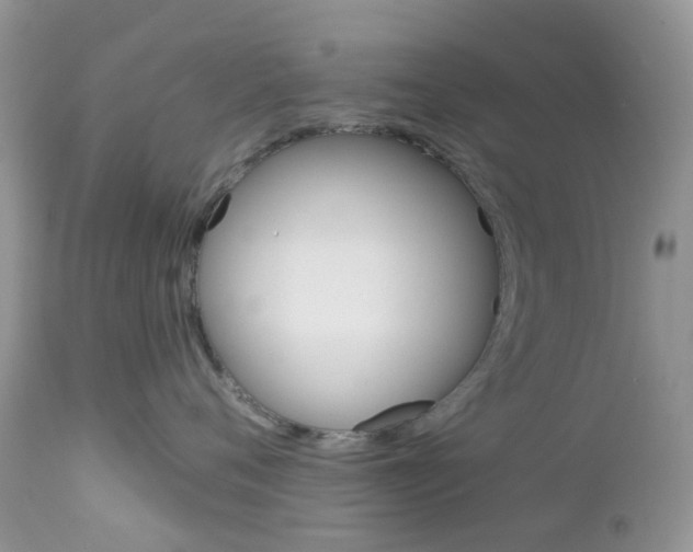 X0000113120720200908281042