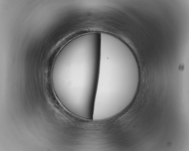 X0000113120722200908281041