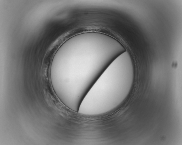 X0000113120723200908281041
