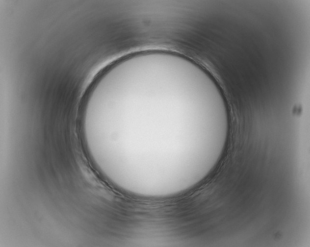X0000113120724200908281041