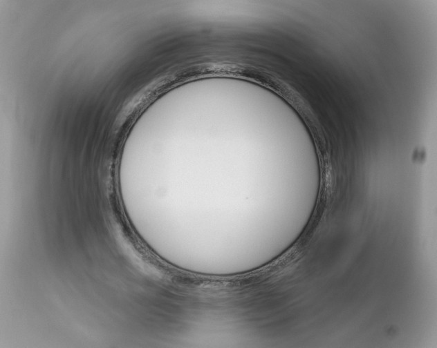 X0000113120725200908281041