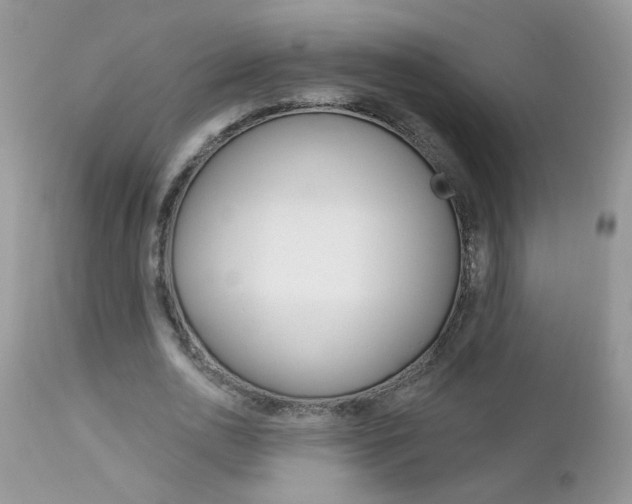 X0000113120726200908281041