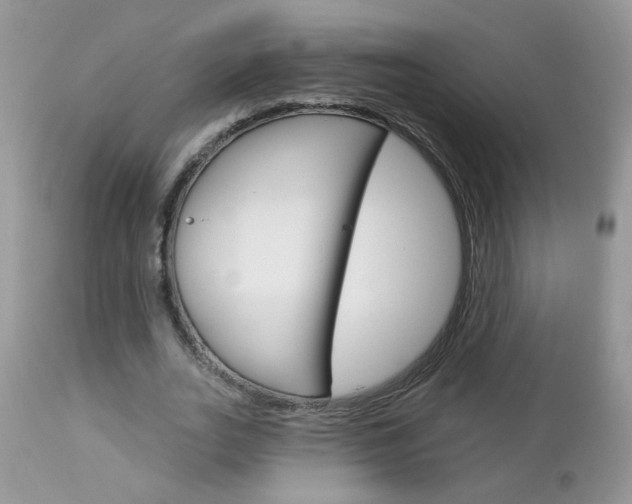 X0000113120727200908281041