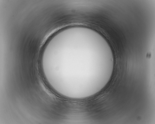 X0000113120728200908281041