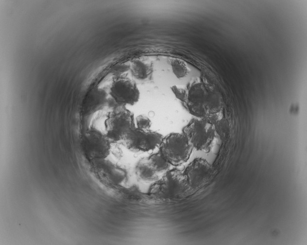 X0000113120729200908281041