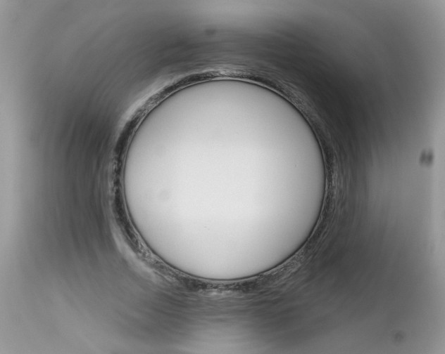 X0000113120730200908281041