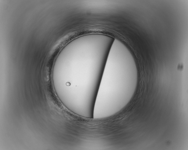 X0000113120731200908281041
