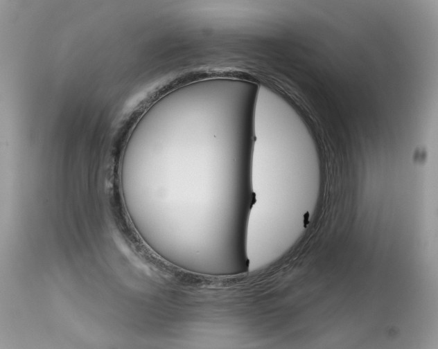 X0000113120732200908281041