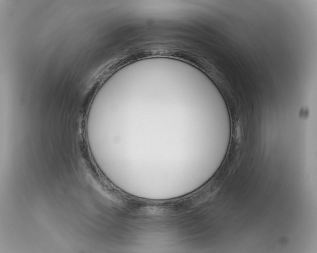 X0000113120733200908281041