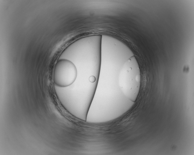 X0000113120734200908281041