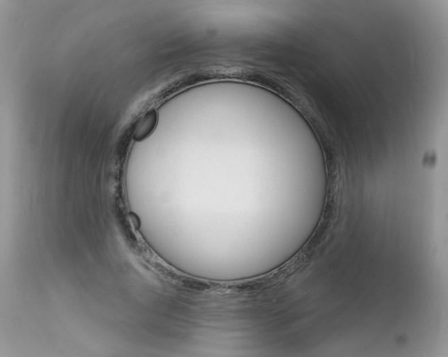 X0000113120736200908281041