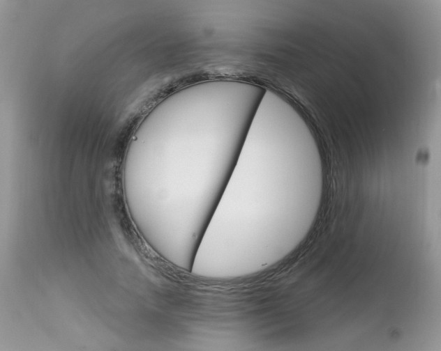 X0000113120738200908281041