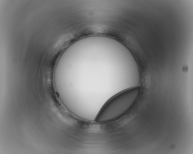 X0000113120740200908281041
