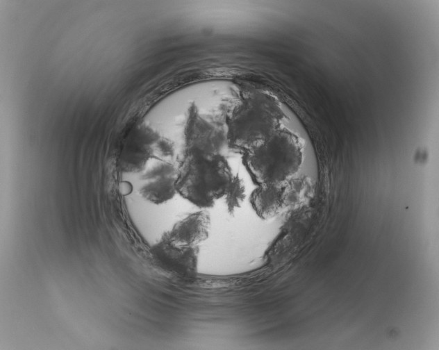 X0000113120741200908281042