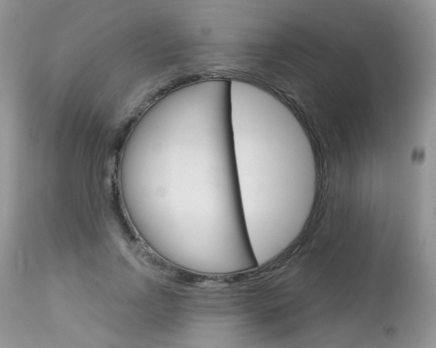 X0000113120742200908281042