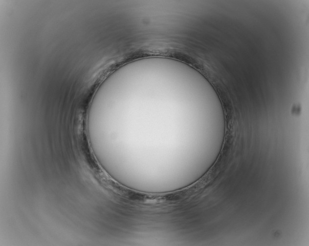 X0000113120744200908281042