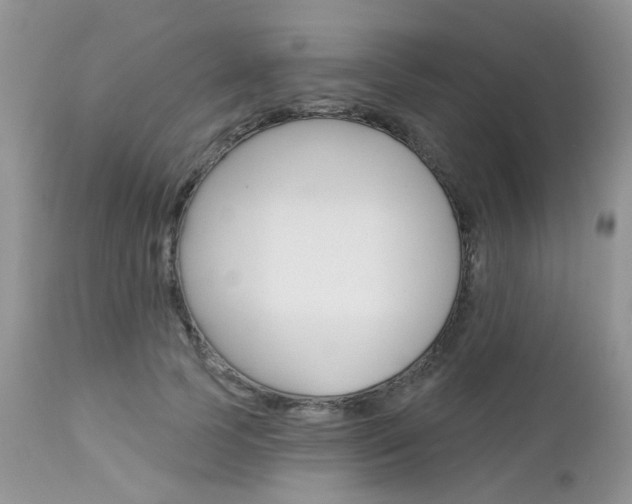 X0000113120745200908281042