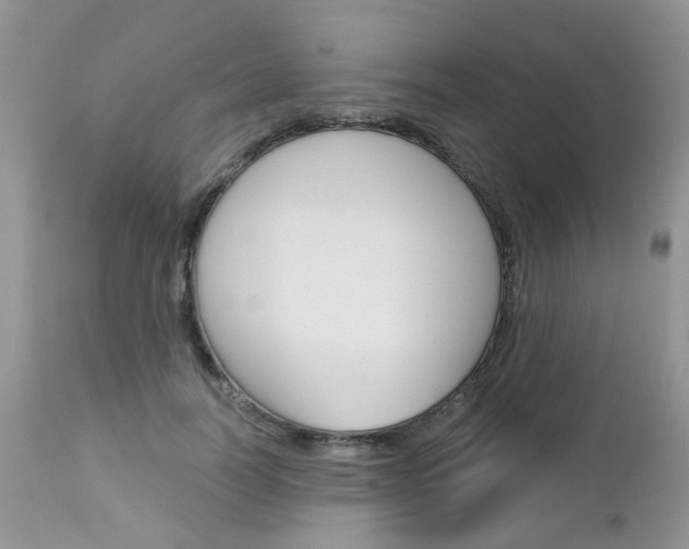 X0000113120746200908281042