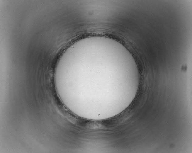 X0000113120747200908281042