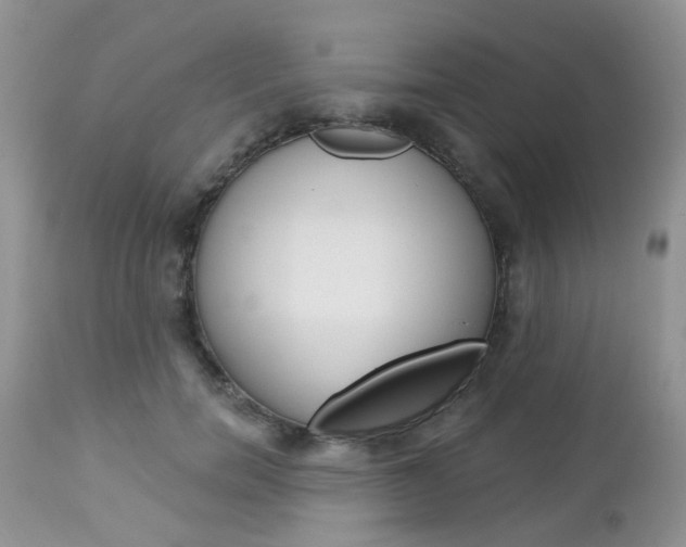 X0000113120750200908281042