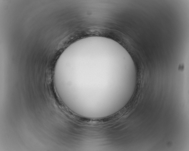 X0000113120751200908281042