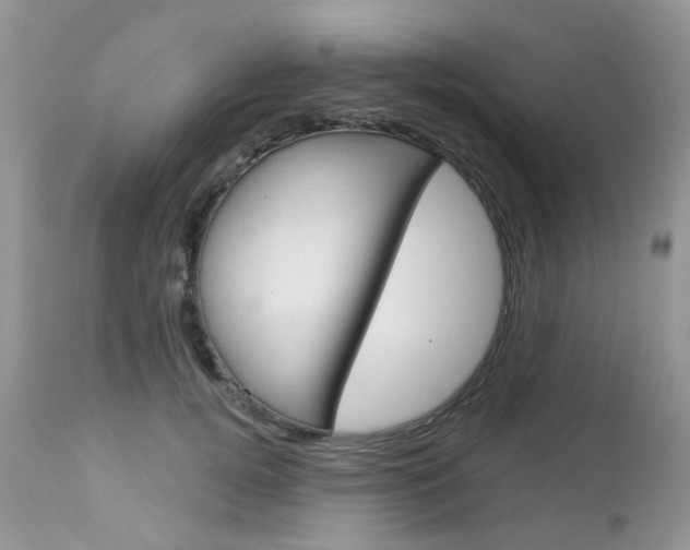X0000113120752200908281042