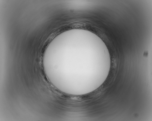 X0000113120753200908281042