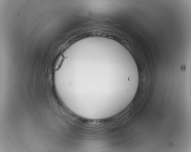 X0000113120754200908281042