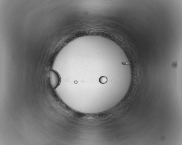 X0000113120756200908281042