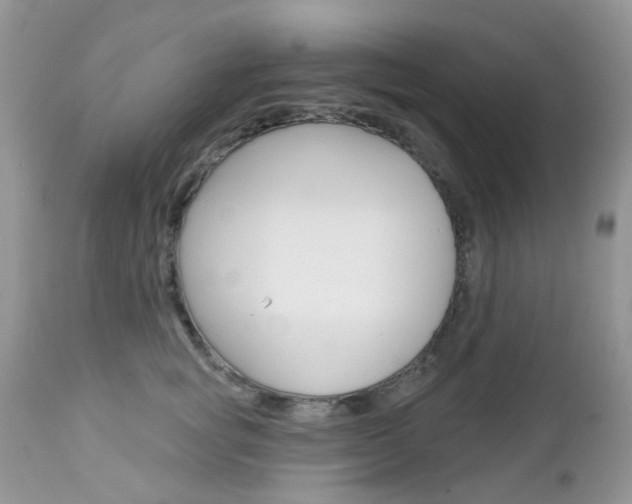 X0000113120757200908281042