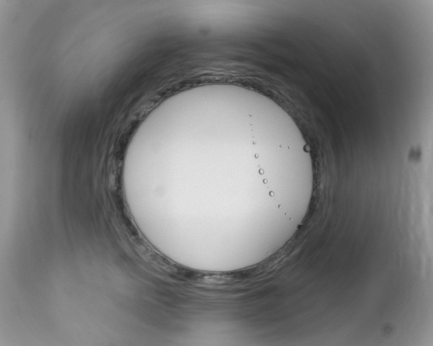 X0000113120758200908281042