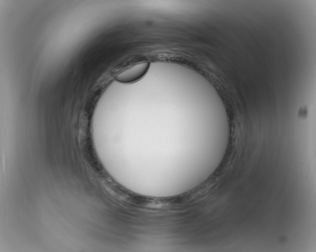 X0000113120760200908281042
