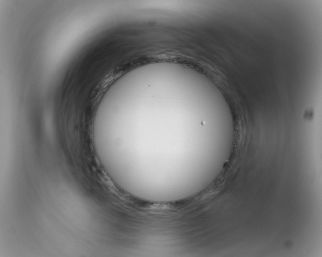 X0000113120762200908281042